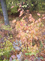 DSCF0147.JPG