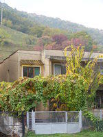 DSCF0228.JPG