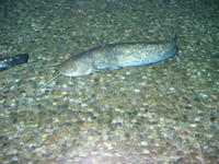 DSCF0447.JPG