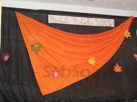 2008_1025balboboci200046.JPG