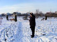 In parc