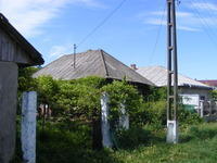 DSCF0102