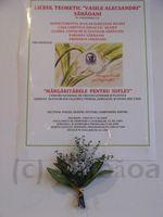 DSCF0075.JPG
