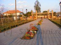 DSCF1025.JPG