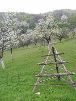 DSCF0326.JPG