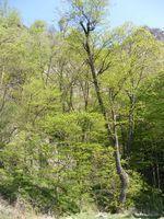 DSCF0561.JPG