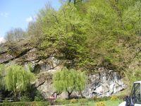 DSCF0680.JPG