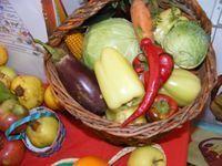 DSCF0029.JPG