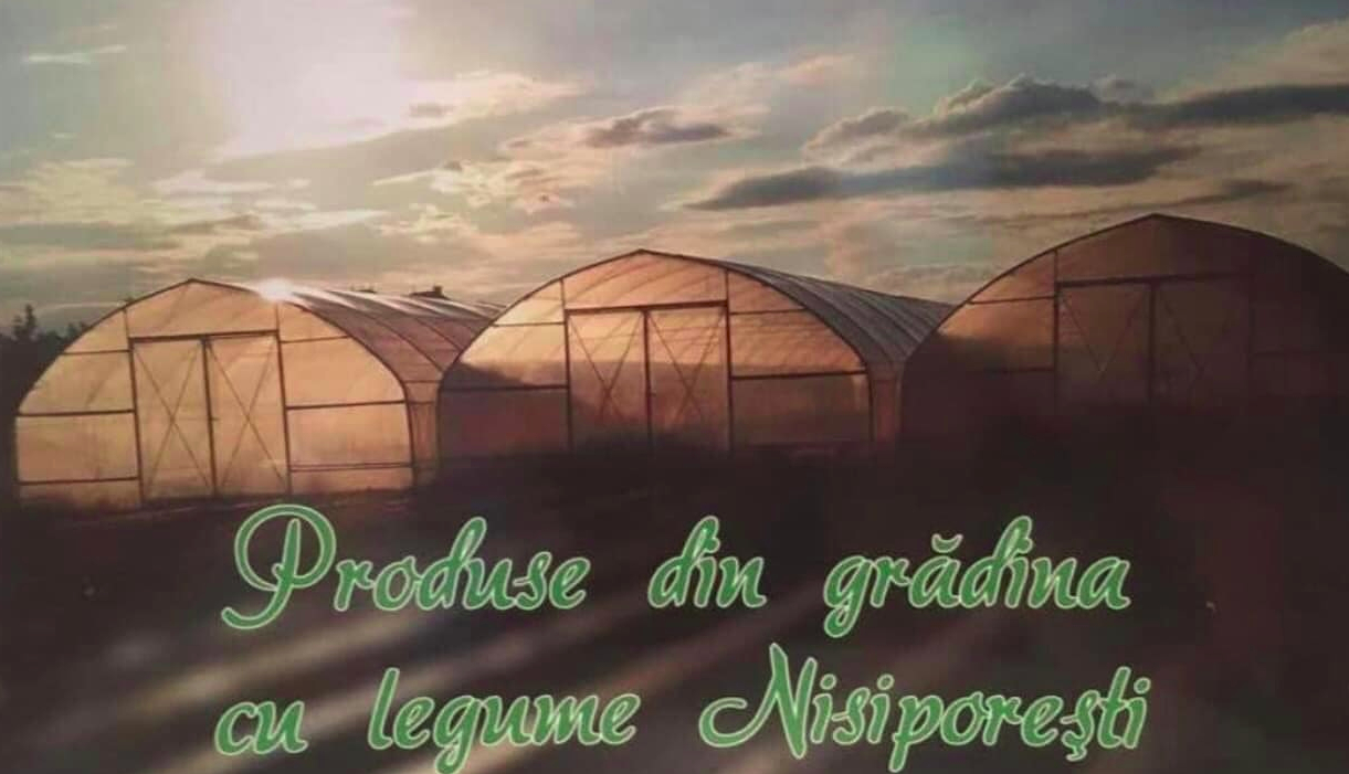 Această imagine are atributul alt gol; numele fișierului este Gradina-cu-legume-Nisiporesti.jpg